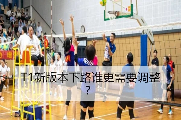 T1新版本下路谁更需要调整？